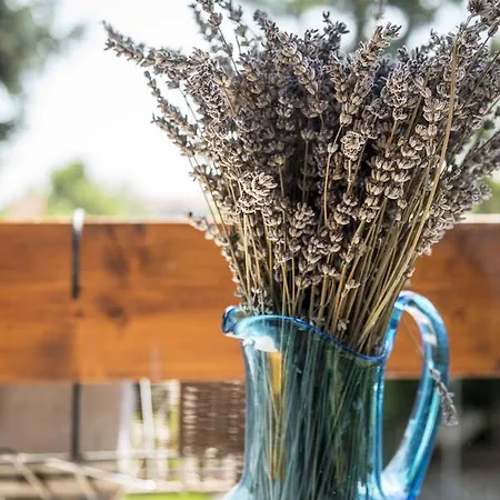 Liget Vendeghaz Penzion *